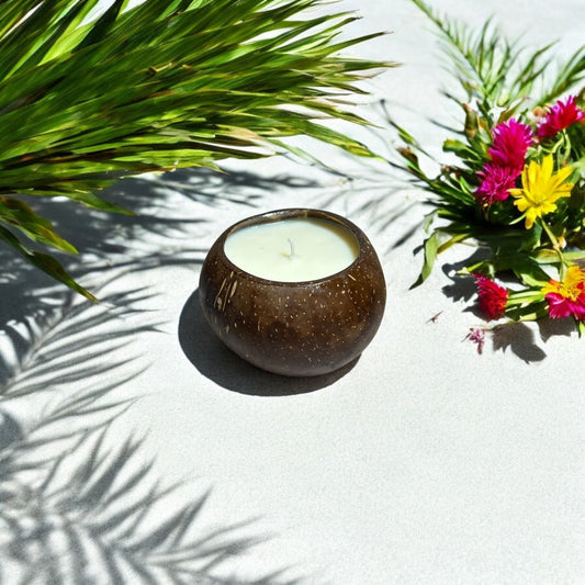 LIMITED EDITION Piña Coolatta Candle in Coconut Shell